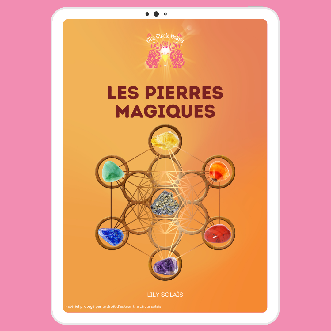 Les Pierres magiques PDF